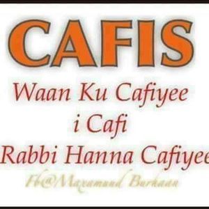 Meet your Posher, Ayan